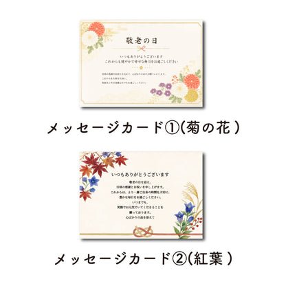 やすまる 選べる ギフトセット