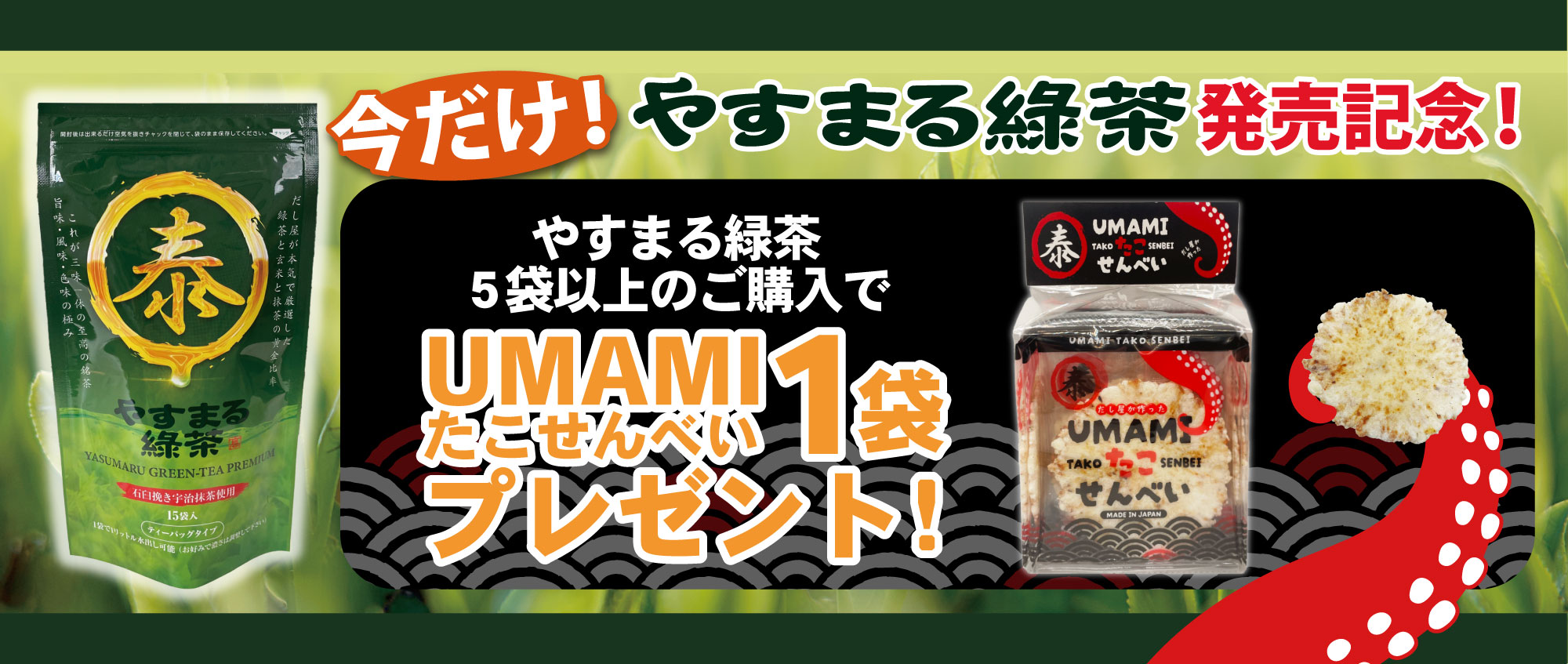 今だけ! やすまる緑茶 発売記念! やすまる緑茶 5 袋以上のご購入で UMAMIたこせんべい 1 袋プレゼント!